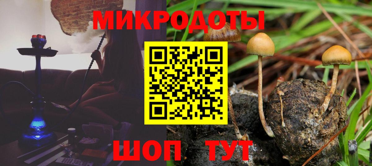 купить закладку  Вход с VPN  Наро-Фоминск  Псилоцибиновые грибы Psilocybe 